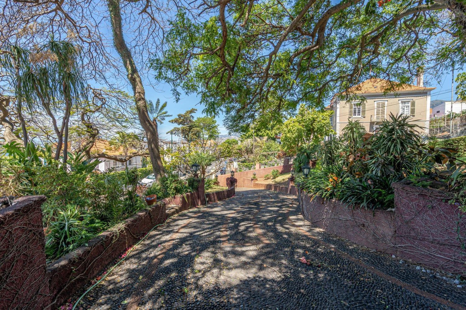 Francisco's Séjour chez l'habitant Funchal (Madeira)