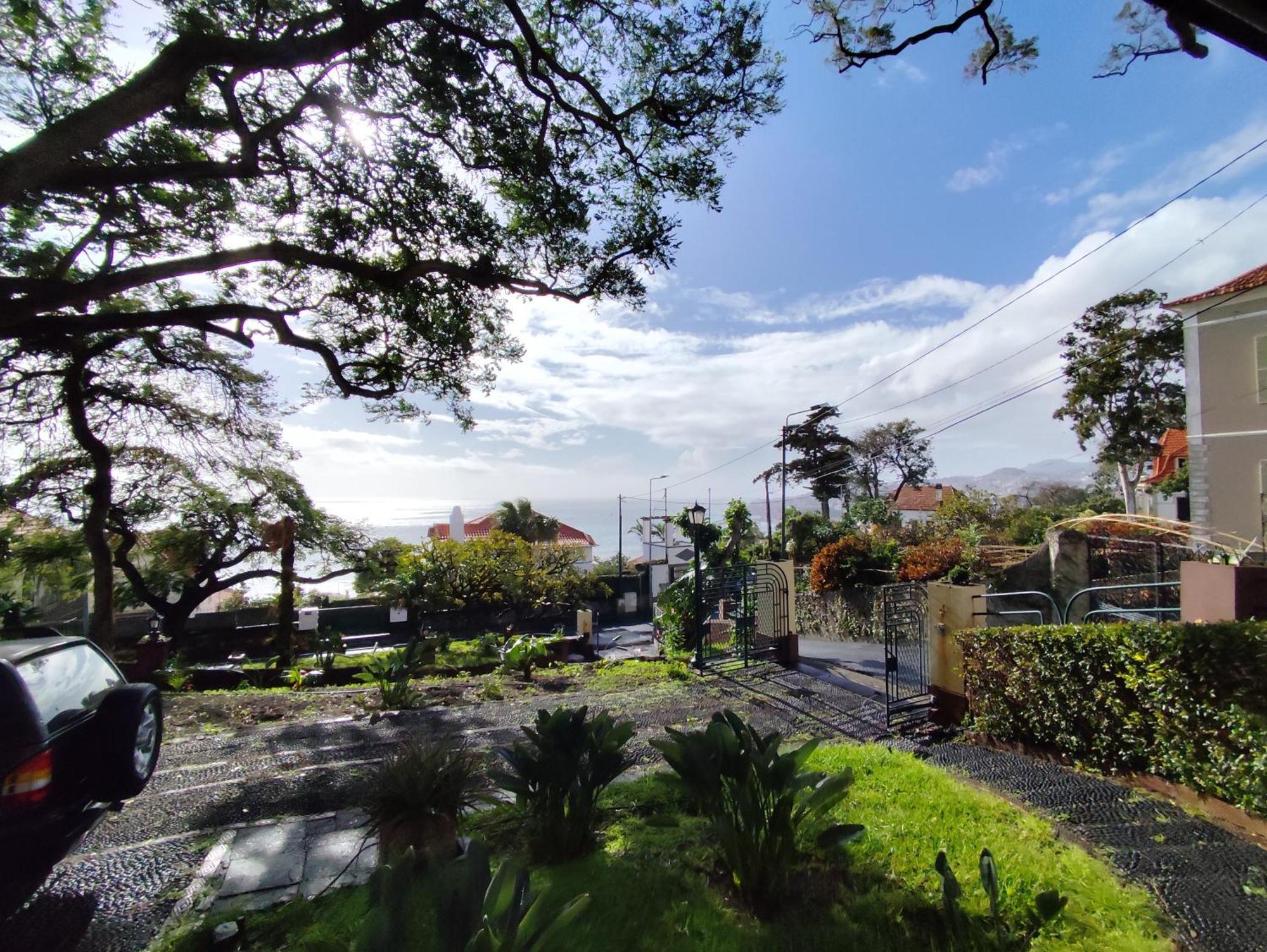 Séjour chez l'habitant Francisco's Funchal (Madeira)
