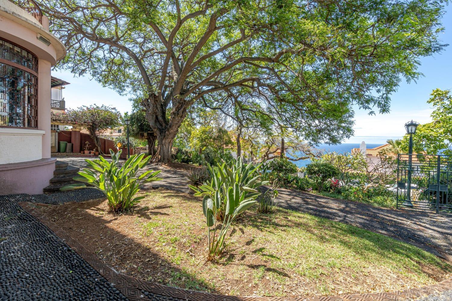 Accommodatie bij particulieren Francisco's Funchal (Madeira)